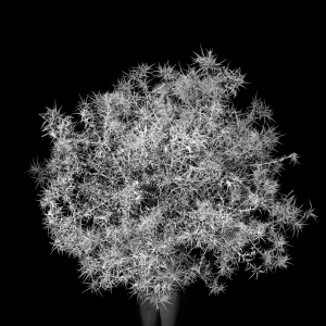 07_B_BetweenYouAndMeWebsite