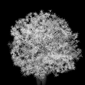 07_C_BetweenYouAndMeWebsite