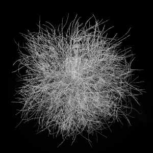 08_B_BetweenYouAndMeWebsite