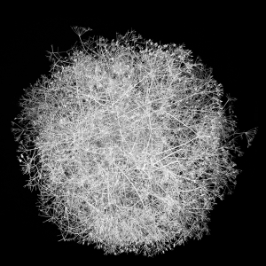 09_C_BetweenYouAndMeWebsite