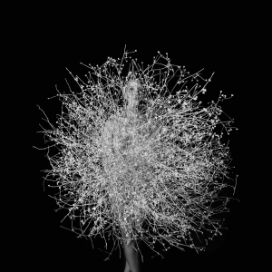 10_B_BetweenYouAndMeWebsite