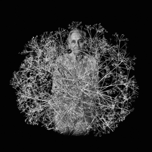 11_A_BetweenYouAndMeWebsite