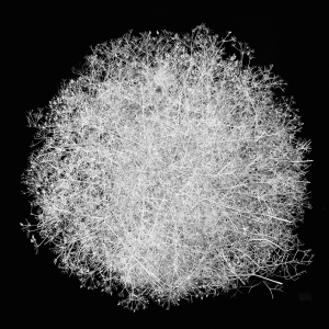 11_C_BetweenYouAndMeWebsite