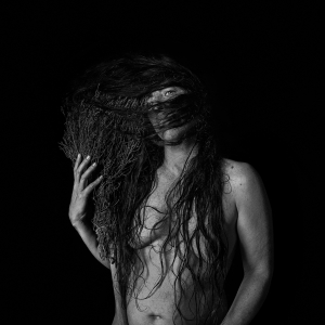 RebirthOfVenusWebsite