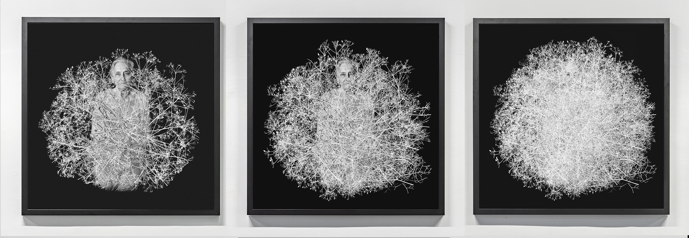 PilotGaleri_ZerenGoktan_SeninleBenimAramda_05 copy