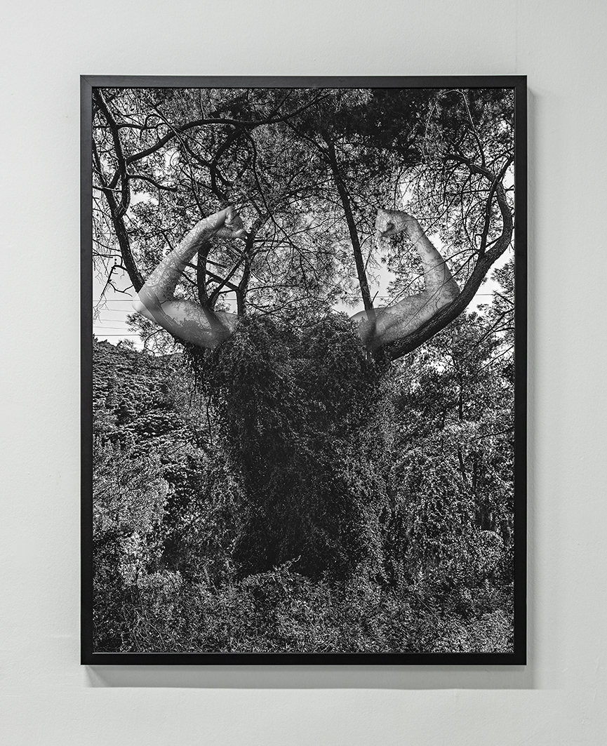 PilotGaleri_ZerenGoktan_SeninleBenimAramda_Sahirugureren_0049 copy